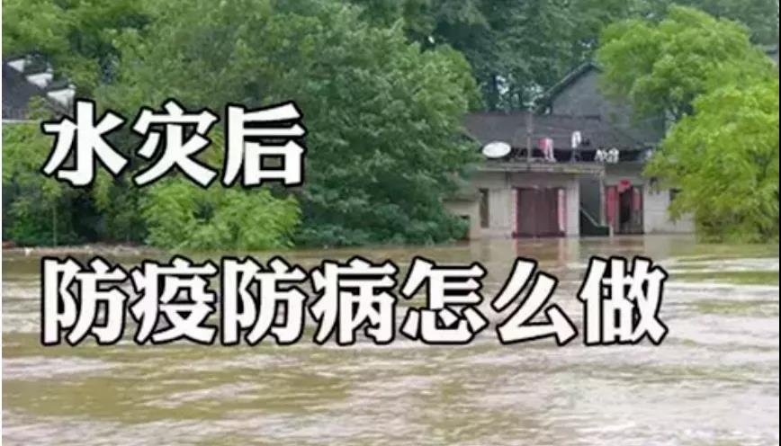 &#20048;&#40060;&#32593;&#39029;&#29256;&#30331;&#24405;&#20837;&#21475;&#45;&#20048;&#40060;&#40;&#20013;&#22269;&#41;